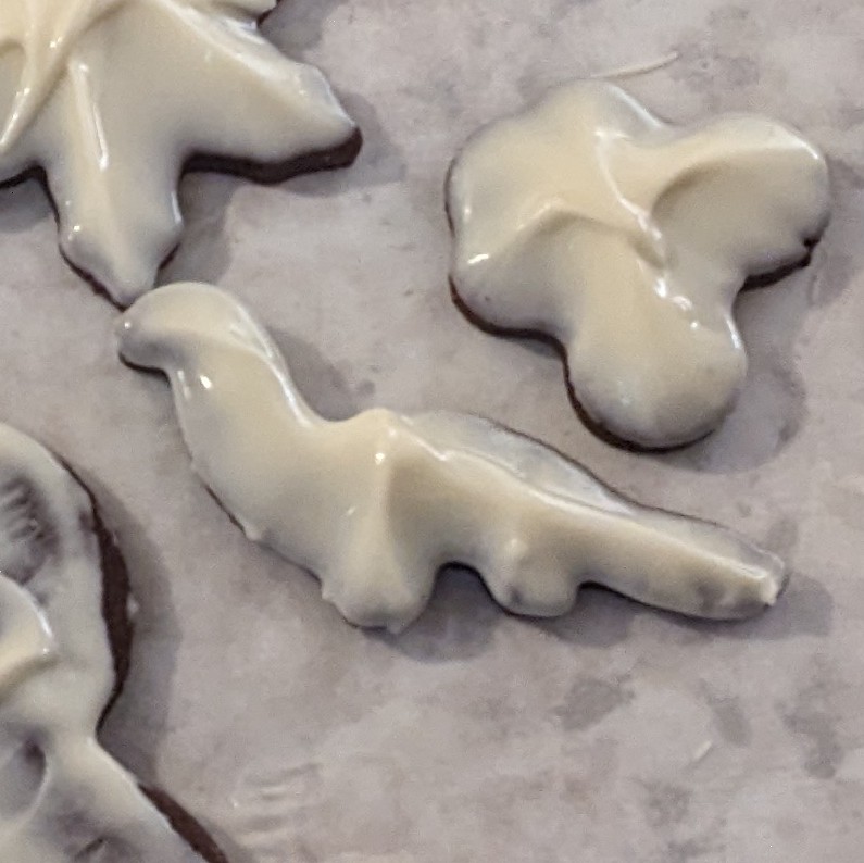 Dinosaur Cookie